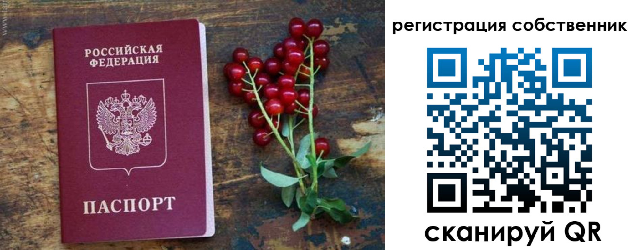 регистрация для дет. сада в Котельниково